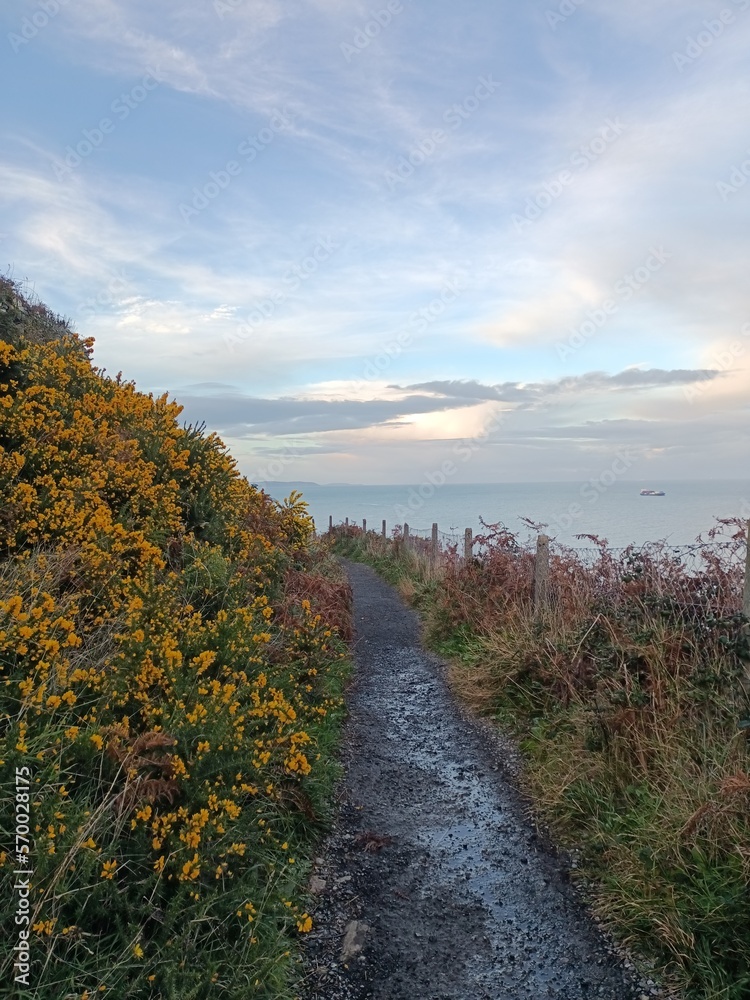 Bray cliff walk, Ireland Bray cliff walk, Ireland