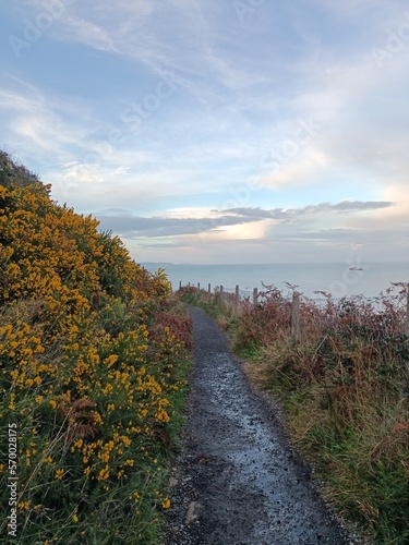 Bray cliff walk  Ireland 