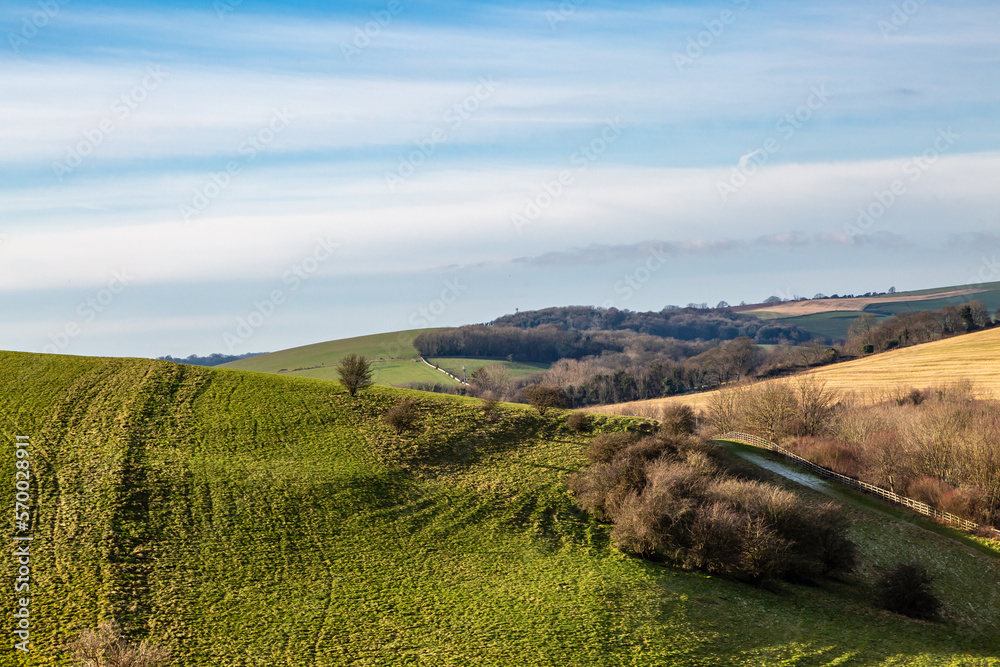 Looking out over farmland in Sussex on a sunny winter's day