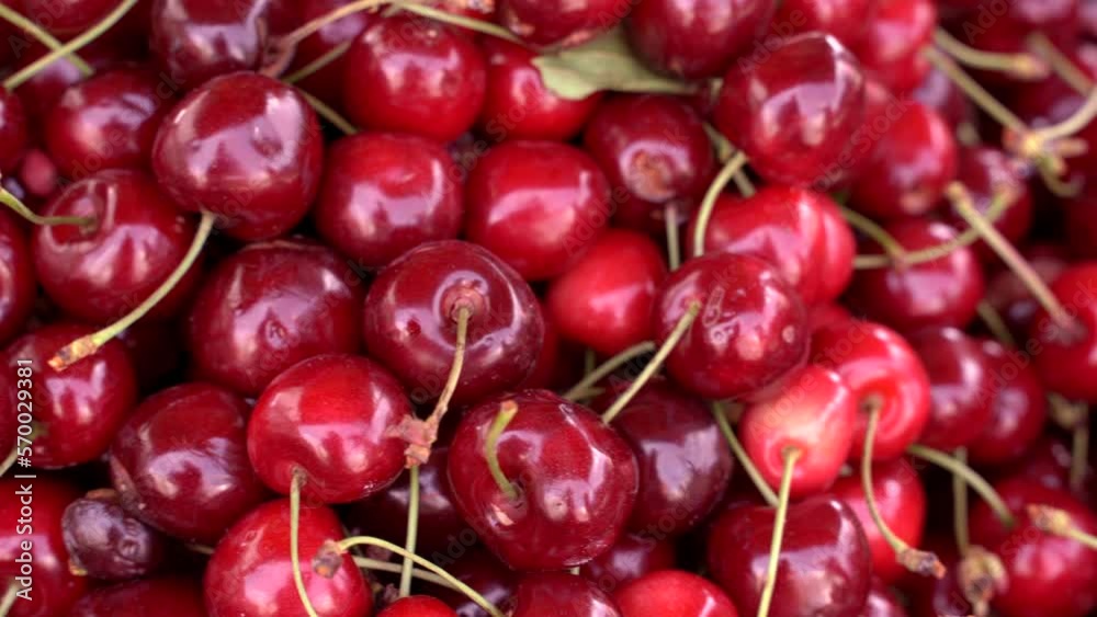 red cherries in a market. new harvest, background or food texture. red cherries in a market. new harvest, background or food texture.