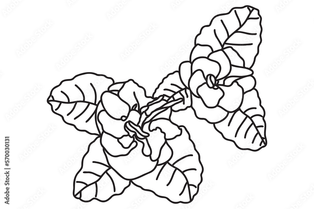 violets is drawn with a black outline, it is intended for cards, tattoos, fabric and clothes printing, coloring, labels, Valentine, March 8 and you can use it in different cases. violets is drawn with a black outline, it is intended for cards, tattoos, fabric and clothes printing, coloring, labels, Valentine, March 8 and you can use it in different cases.