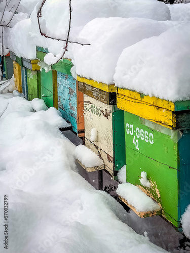 Bee hives in the winter frozen under snow
