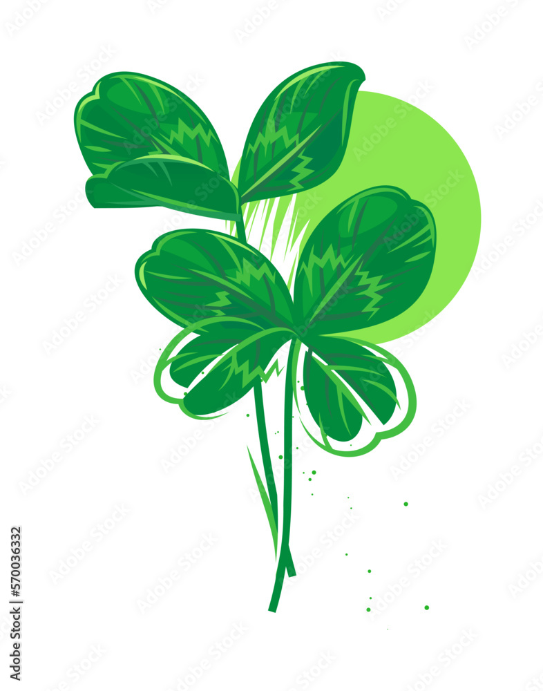 Obraz premium Shamrock, clover leaves for St. Patrick's Day