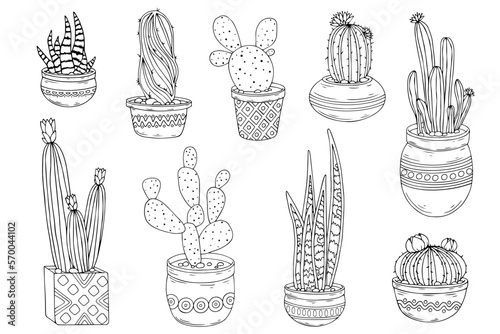 Set of doodle sketches of catus, succulents in flower pots. Vector graphics of simple plants. 