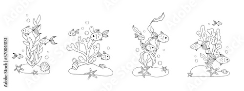 Coloring book, linear sketches of fish in algae at the bottom of the aquarium. Vector graphics.