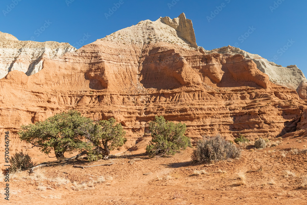 Eroded sandstone formation and vegetation in the desert of Kodachrome Basin State Park Utah. 