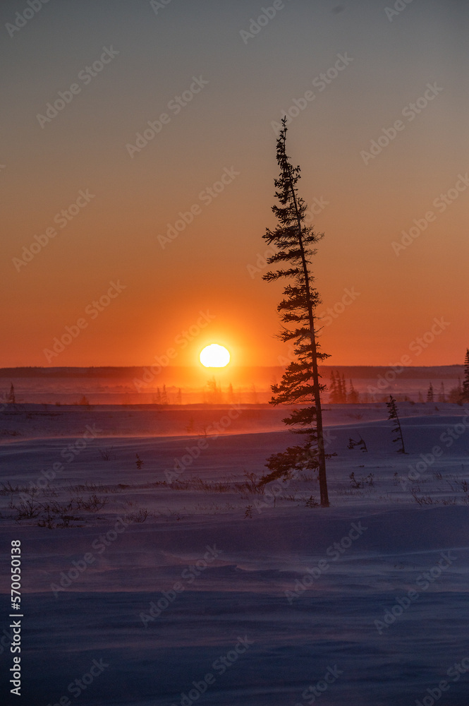 Φωτογραφία The sun sets behind a distant ridge near the coast of the Hudson Bay in northern Canada
