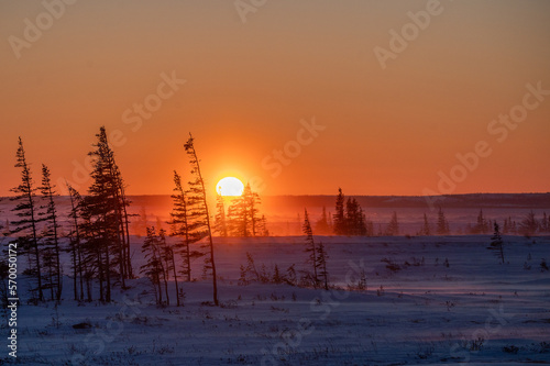 The sun sets behind a distant ridge near the coast of the Hudson Bay in northern Canada. In the foreground, tiny stunted spruce trees cling to the chilled ground