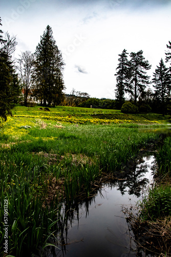 Creek Flowing Through Green Field in Pacific North West Oregon Winter photo