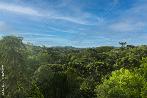 Botanical Garden in Faxinal do Céu, Pinhão, Paraná, Brazil: 2023