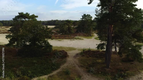 Aerial drone shot of dunes in Soest, The Netherlands photo