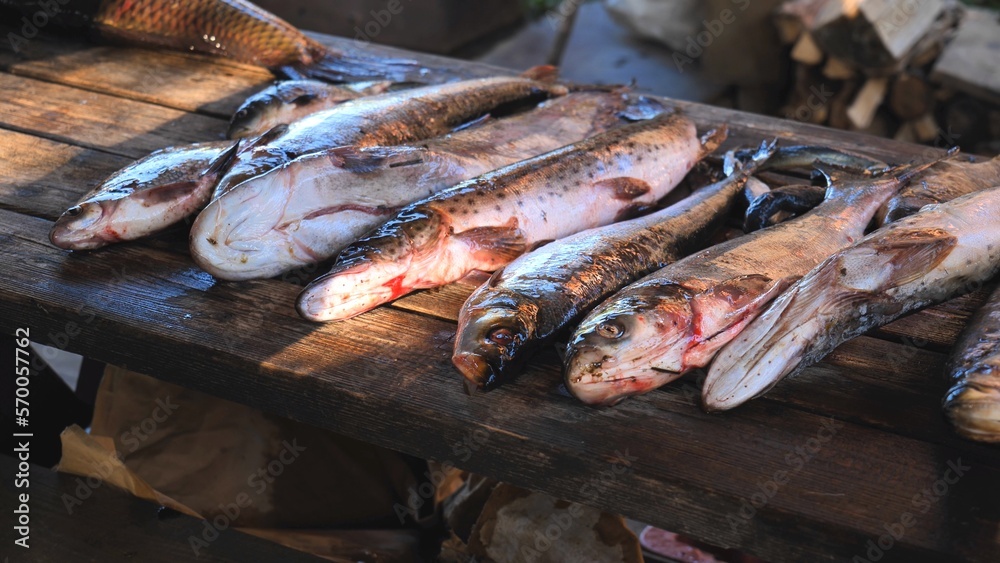 A variety of river fish from the Amur River on the fisherman's table.