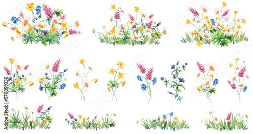 Wildflowers, summer bloom, mesdow, floral arrangement clipart. Stock illustration. Hand painted in watercolor. photo