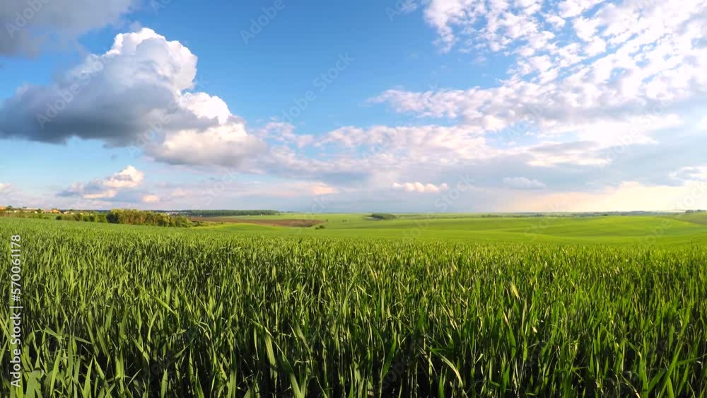 Shadows from the clouds run across the green field. Shadows from the clouds run across the green field.