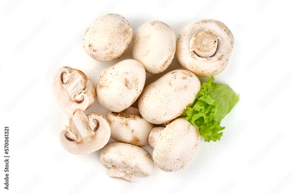 Champignons, close-up, isolated on white background. Champignons, close-up, isolated on white background.