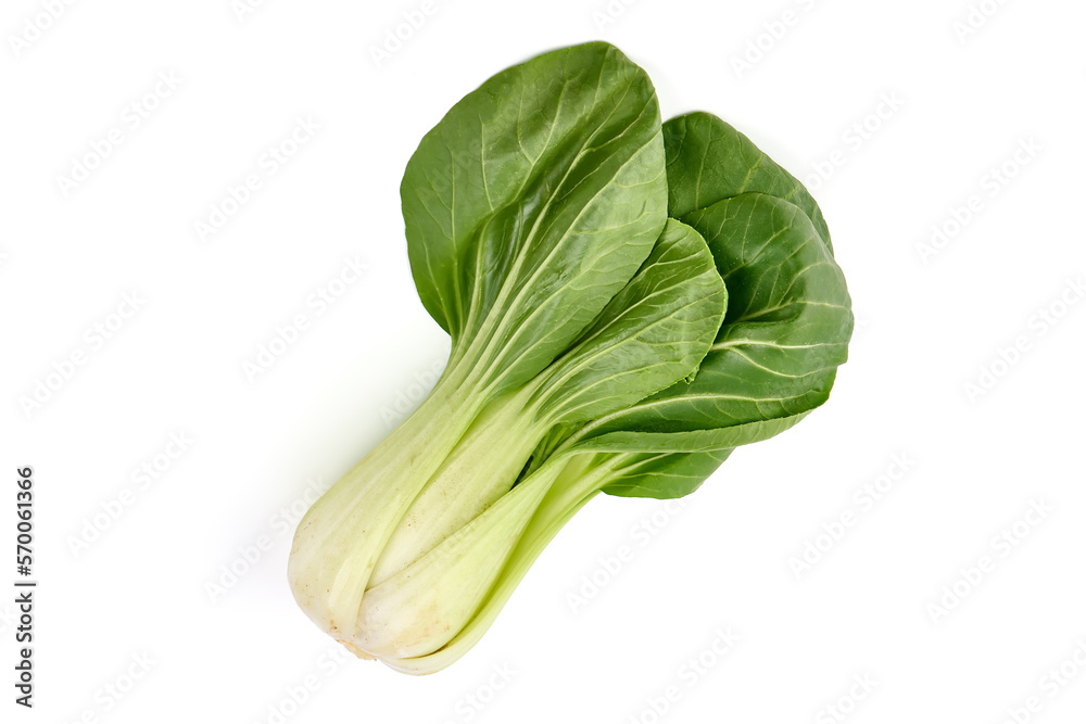 Fresh green Chinese cabbage, bok choy, pok choi or pak choi, isolated on white background. Fresh green Chinese cabbage, bok choy, pok choi or pak choi, isolated on white background.
