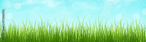Summer grass background, summer grass field, bright green grass on the summer lawn lit by shining sunbeams. Summer.