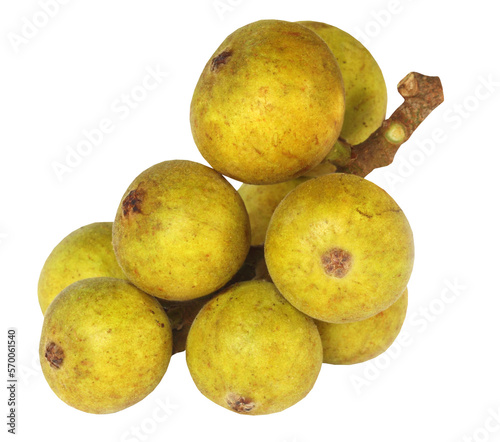 India figs named as Dumur fruits