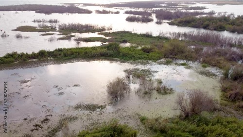 Aerial view of a lake with in water vegetation, Sea of Galilee, Israel. photo