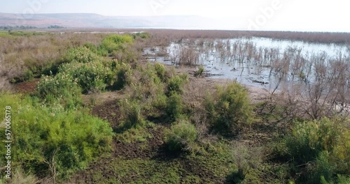 Aerial view of a lake and water birds, Sea of Galilee, Israel. photo