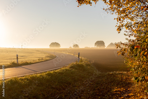 sundow with fog over a road in fall photo