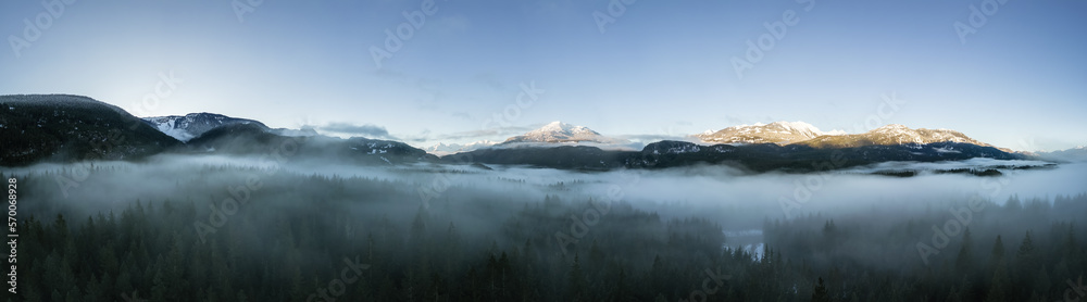 Green Trees in Forest with Fog and Mountains. Winter Sunny Sunrise. Canadian Nature Landscape Background. Near Squamish, British Columbia, Canada. Panorama