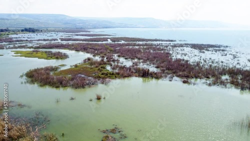 Aerial view of a lake with in water vegetation, Sea of Galilee, Israel. photo