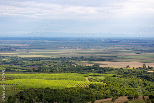 Bild auf Leinwand View from Fruska Gora in Novi Sad, Vojvodina, Serbia