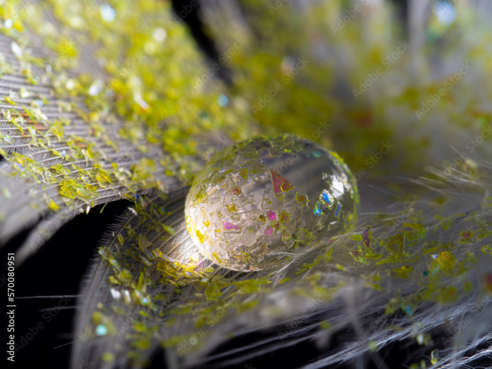 feather with rain drop and little glass glitters - beautiful macro photography