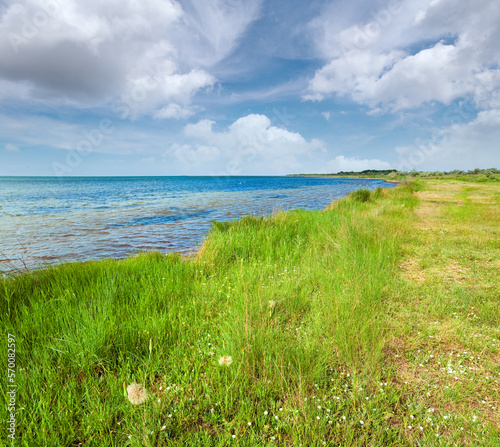 Fototapeta Naklejka Na Ścianę i Meble -  Summer coastline (Skadovsk town environs, Crimea, Ukraine ).