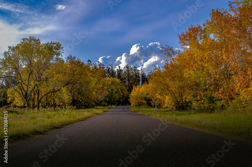 The road through the countryside Villa Serrana Uruguay