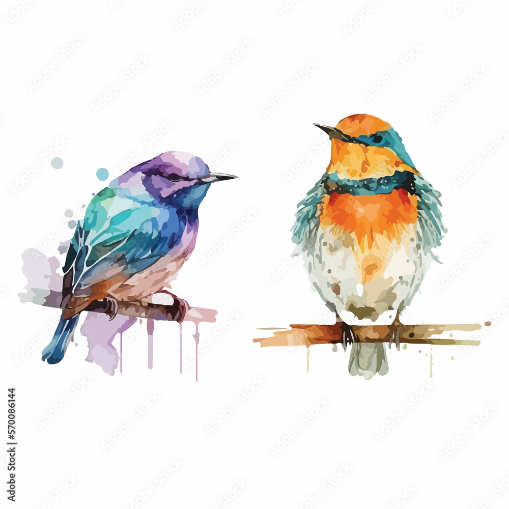 Set of Watercolor Colorful Birds Vector Design