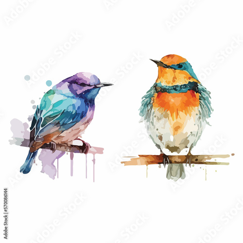 Set of Watercolor Colorful Birds Vector Design