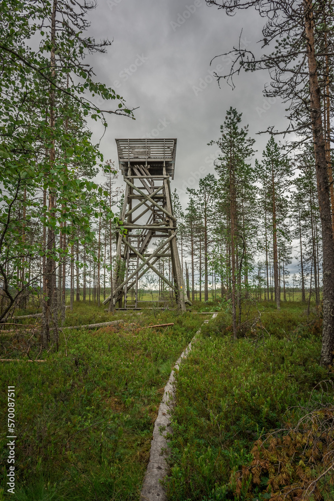 Landscape of the swamps of Patvinsuo National Park, Finland