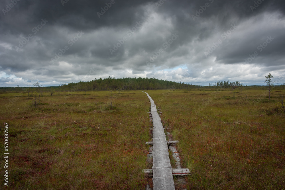 Landscape of the swamps of Patvinsuo National Park, Finland