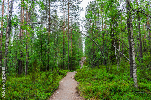 The Pierri Karhunkierros Trail in Oulanka National Park, Lapland, Finland photo