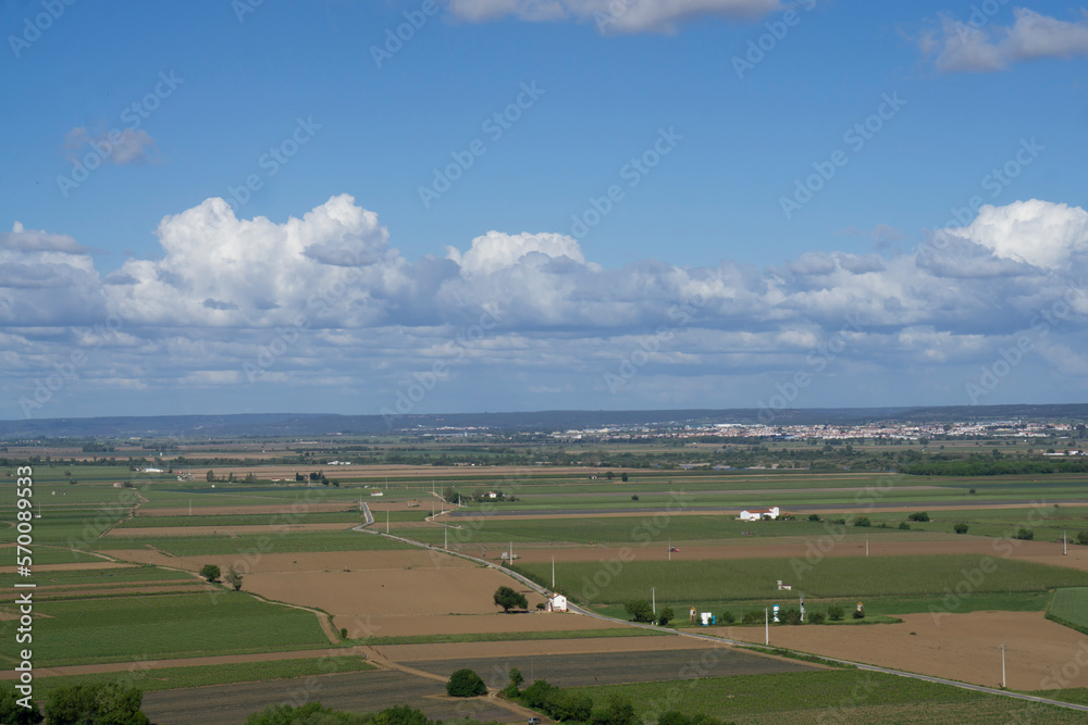 Summer landscape of Portugese countryside with small gravel footpath between the farm.