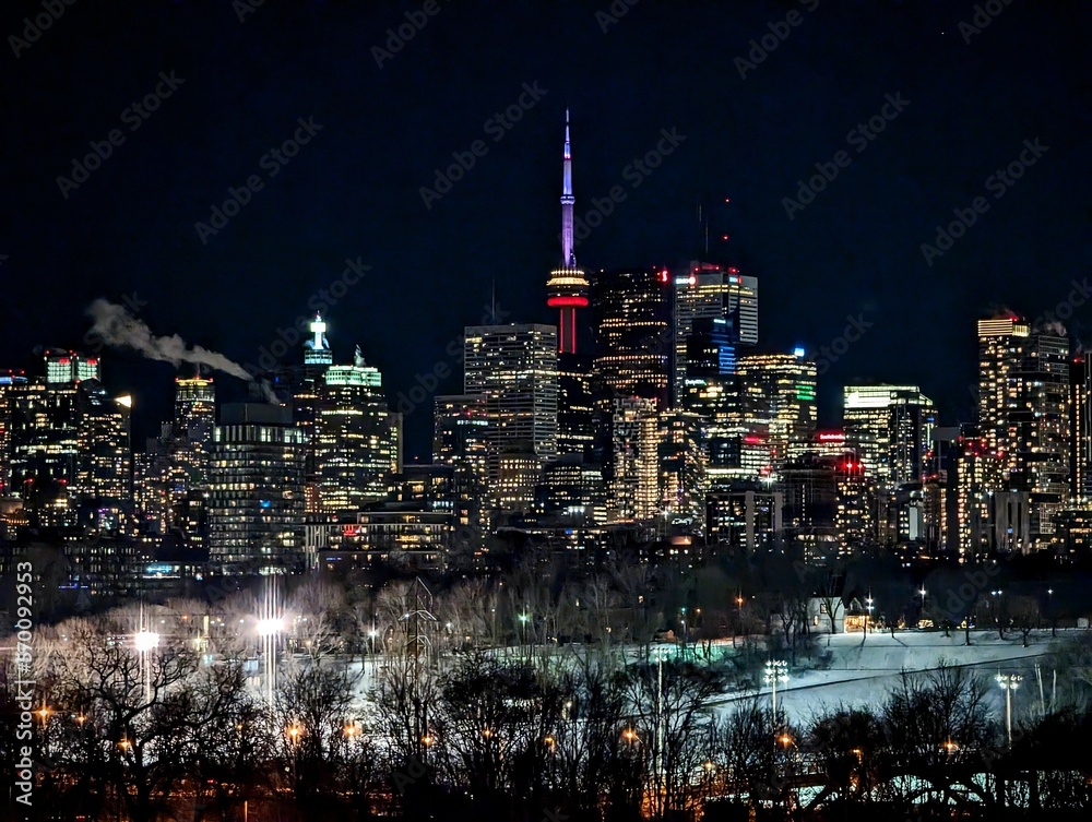 Toronto Night View 