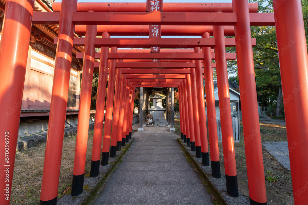 屋島寺