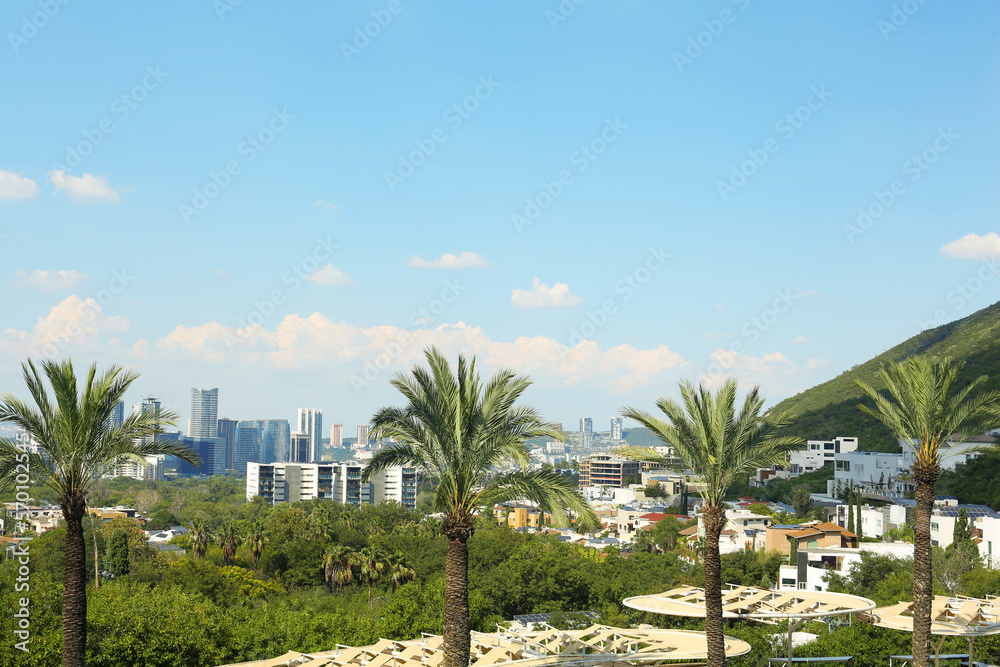 Picturesque view of city with buildings and beautiful palms on sunny day