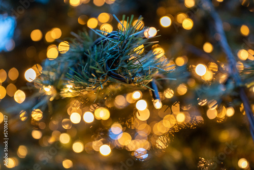 golden christmas lights, Xmas tree 