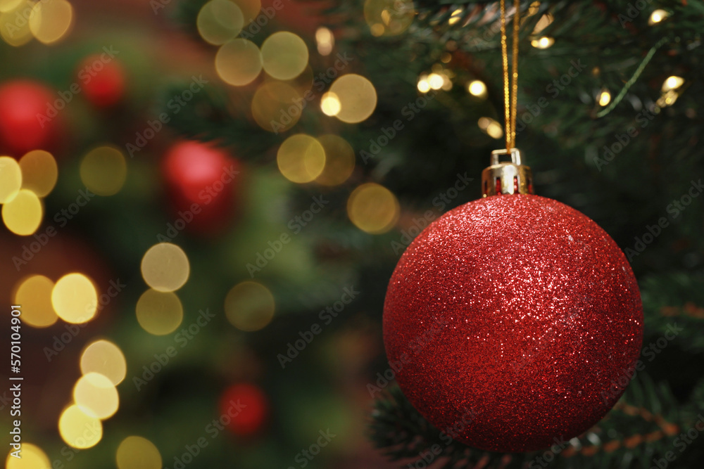 Fototapeta premium Beautiful Christmas ball hanging on fir tree branch against blurred background, closeup. Space for text