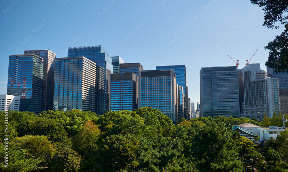 Fototapeta premium Skyscrapers of Marunouchi district, viewed from Imperial Palace gardens. Tokyo. Japan