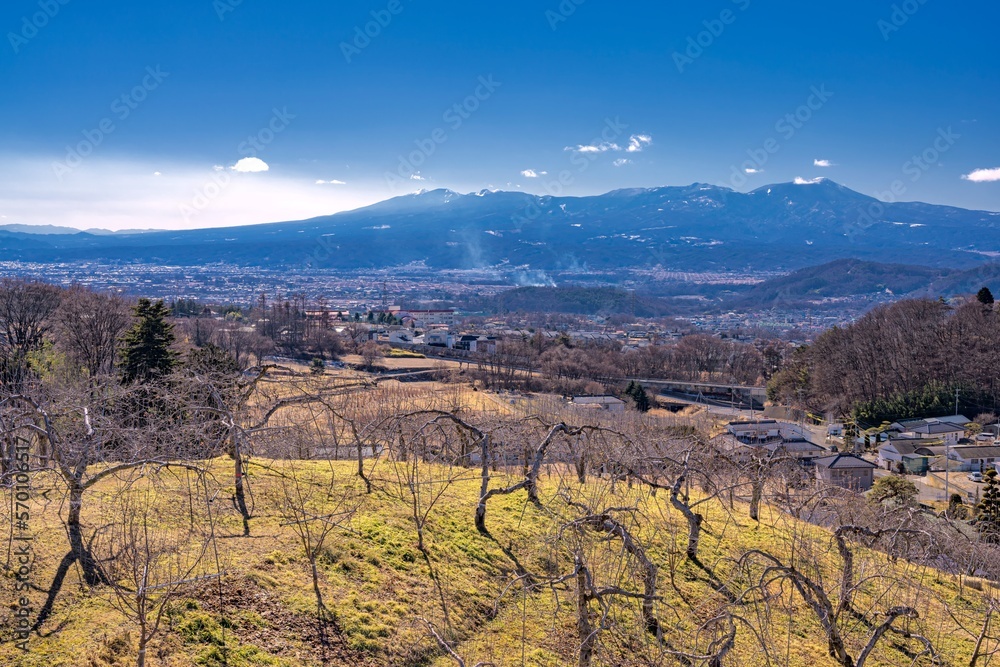 長野県・小諸市 高台から眺める市街地と冬の八ヶ岳連峰の風景