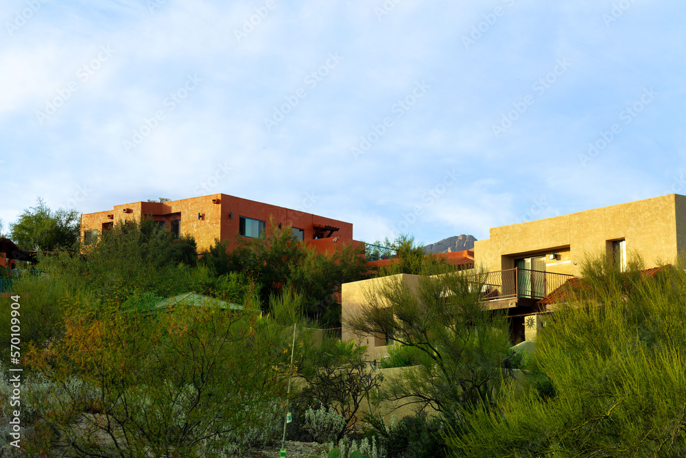 Adobe style buildings with flat roofs and stucco exteriors with desert pallets and colors with back yard trees and cactuses