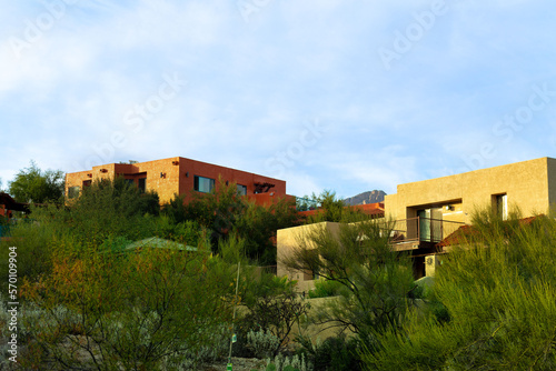Adobe style buildings with flat roofs and stucco exteriors with desert pallets and colors with back yard trees and cactuses