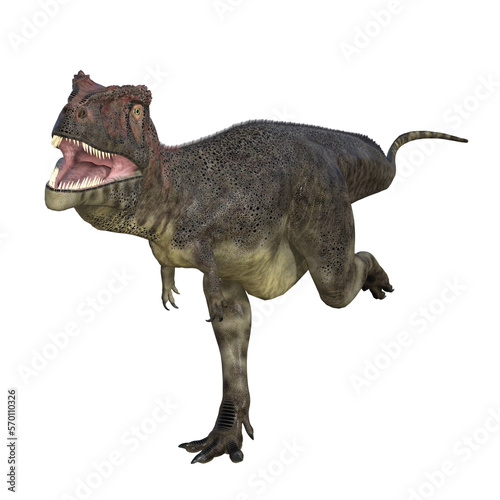 Mapusaurus dinosaur isolated 3d render photo