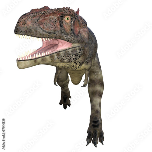 Mapusaurus dinosaur isolated 3d render © Blueinthesky