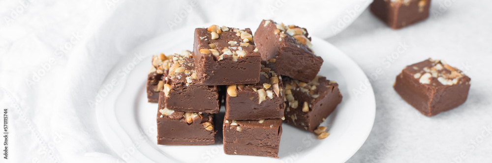 chocolate fudge with nuts on a white ceramic plate, chocolate fudge cut into pieces, fudge candy on a plate