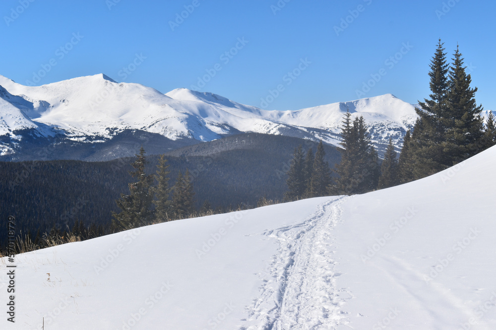 Ski tracks surrounded by snow-covered peaks